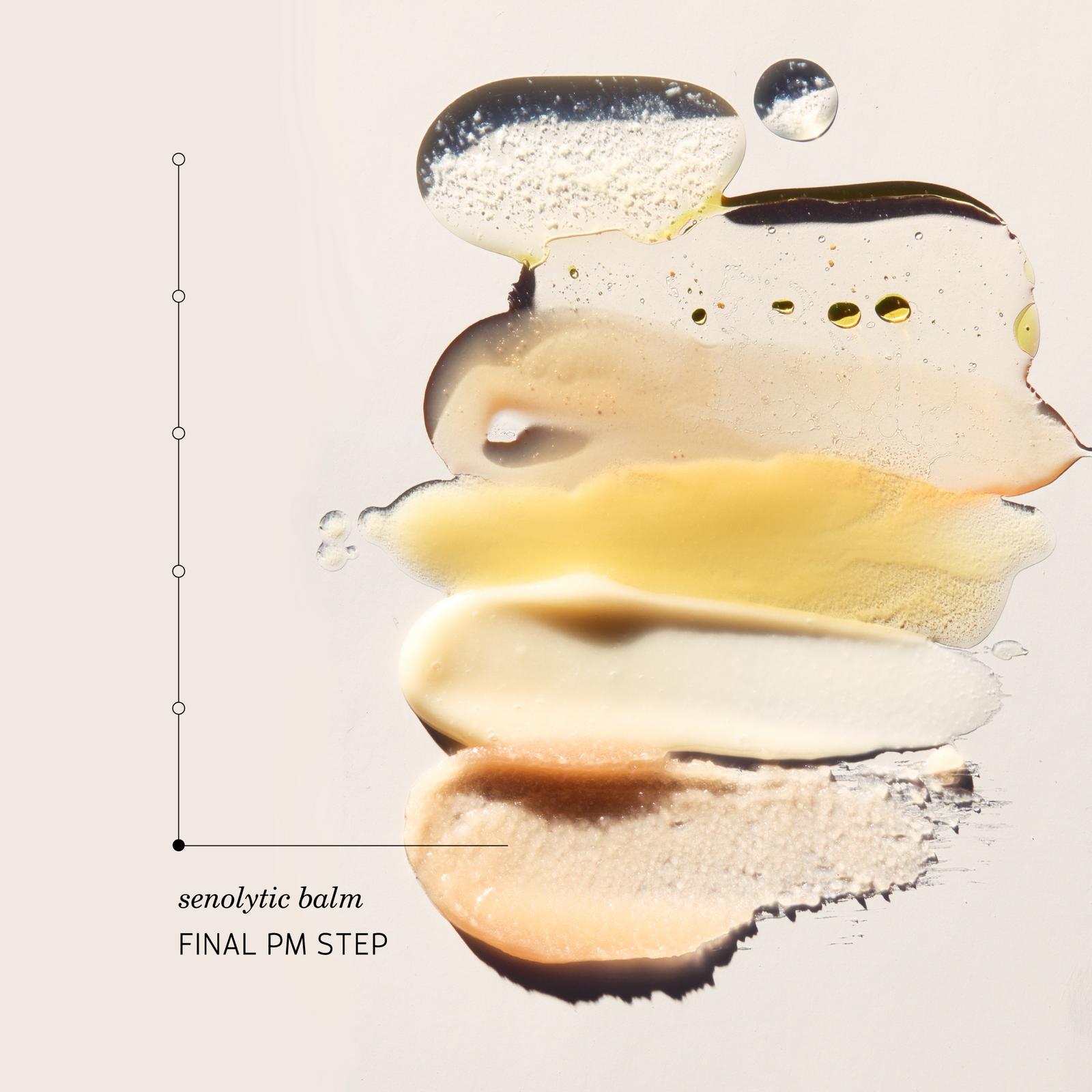 Four swatches of senolytic balm in a creamy, translucent texture ranging from pale yellow to beige and light brown, arranged vertically on a light beige background with a vertical measurement scale on the left labeled 'senolytic balm FINAL PM STEP'.
