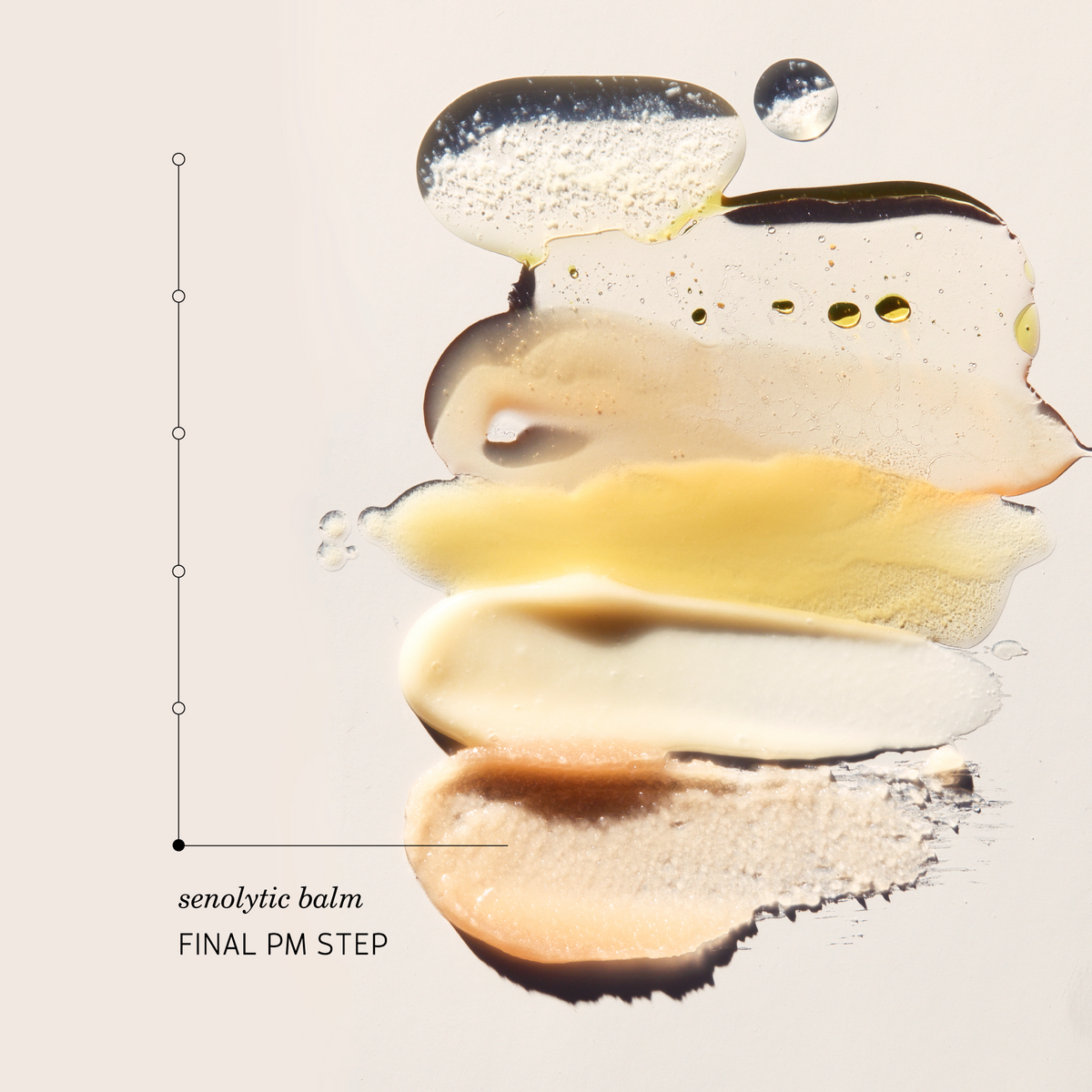 Four swatches of senolytic balm in a creamy, translucent texture ranging from pale yellow to beige and light brown, arranged vertically on a light beige background with a vertical measurement scale on the left labeled 'senolytic balm FINAL PM STEP'.