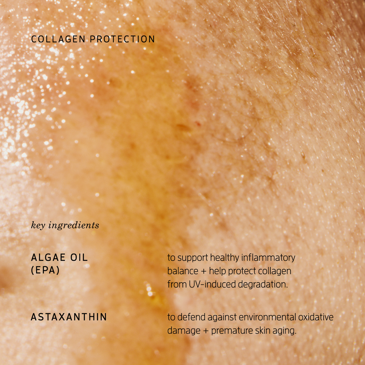 Protective Day Oil